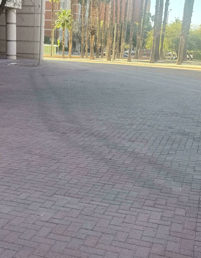 The Grubhub Bots On My Campus Take The Same Routes So Often That Their Tire Marks Are Visible