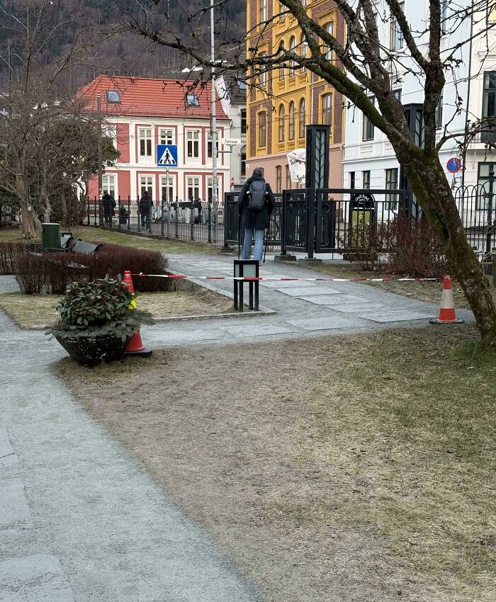 Forbidden Desire Path ⛔️