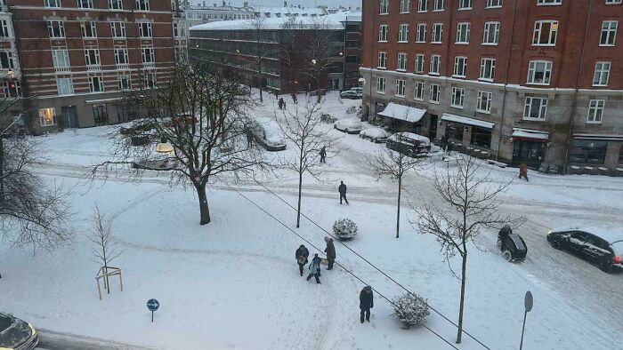 The Opposite Of A Desire Path