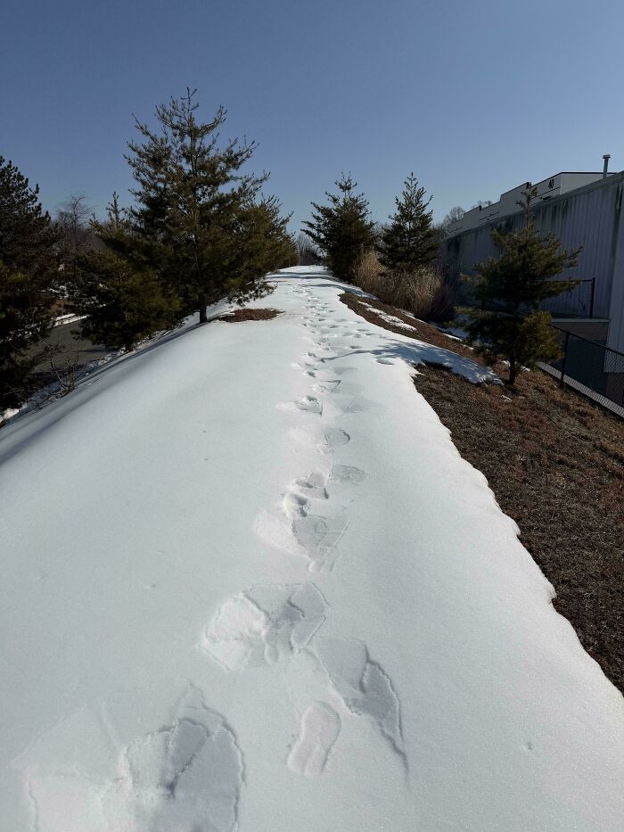 Ridiculously Slippery