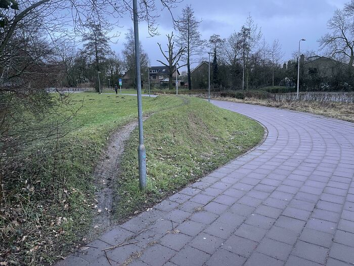 Pavement Is Boring, Grassy Hill Is Fun