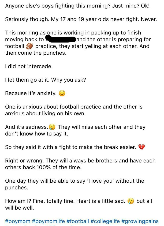 A social media post from a mom describing how her two sons are fighting, an example of an unhinged mom.