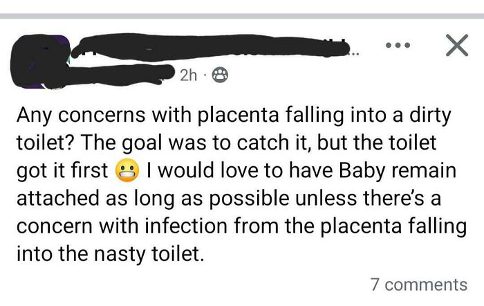 A mom's concerning post about her placenta falling into a dirty toilet, an example of unhinged parenting.