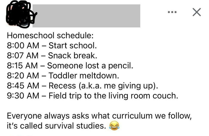 A screenshot showing a mom's humorous homeschool schedule, illustrating unhinged parenting.