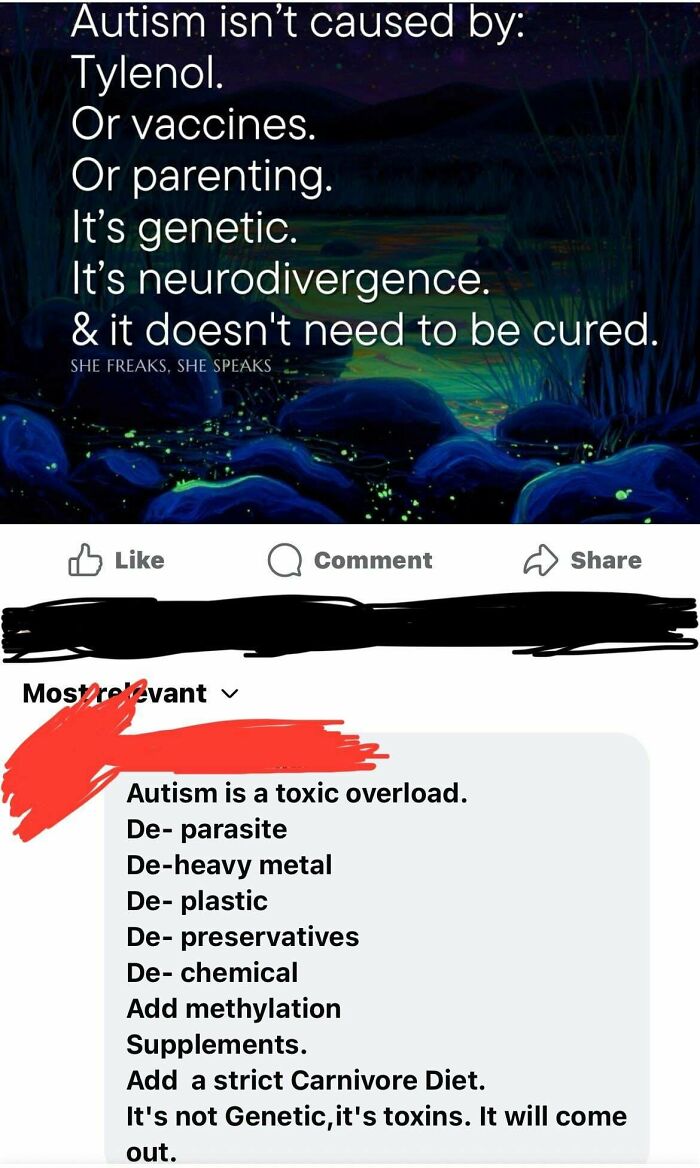 A screenshot from a parenting group showing toxic parenting advice about autism being caused by toxins, not genetics.