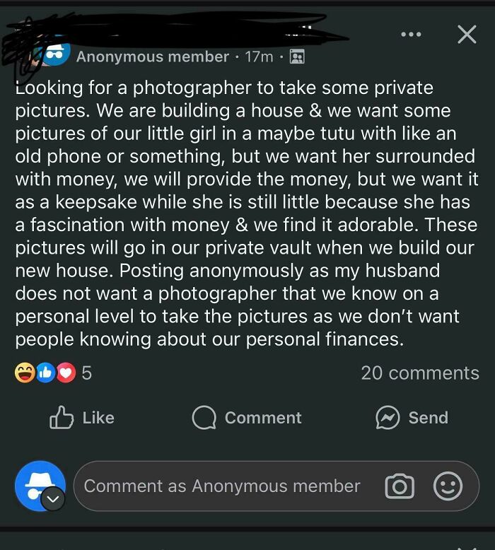 An unhinged mom in a parenting group requesting a photographer for private pictures of her daughter surrounded by money.