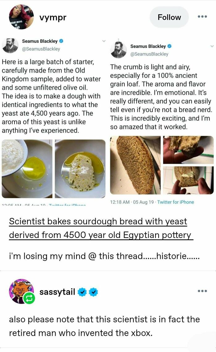 A Tumblr post by vympr about a scientist baking sourdough bread with 4500-year-old yeast, a wild Tumblr gem.