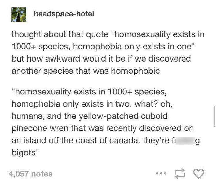 A Tumblr post by headspace-hotel about the existence of homosexuality and homophobia in species, a wild Tumblr gem.