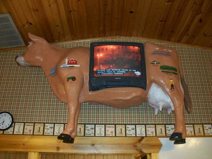 Television embedded in a cow-shaped wooden frame mounted on wall