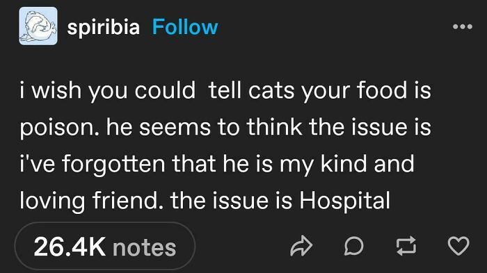 Tumblr post with a funny thought about wishing cats could understand that human food is toxic to them