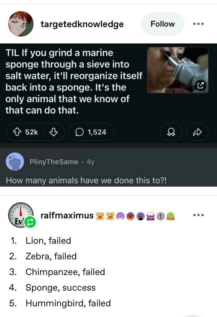 Tumblr post screenshot with a humorous comment list about grinding up animals into sponges