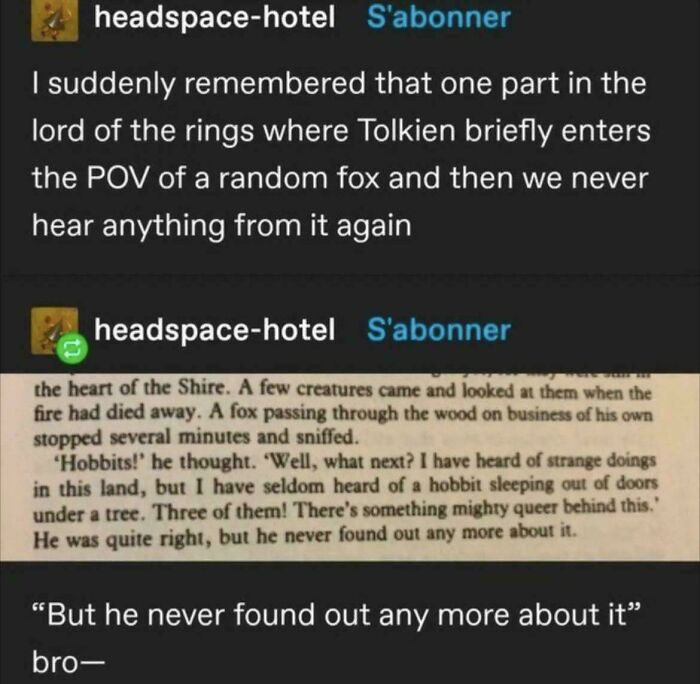 A classic Tumblr post discussing a random fox POV in Lord of the Rings, showing unique Tumblr commentary.