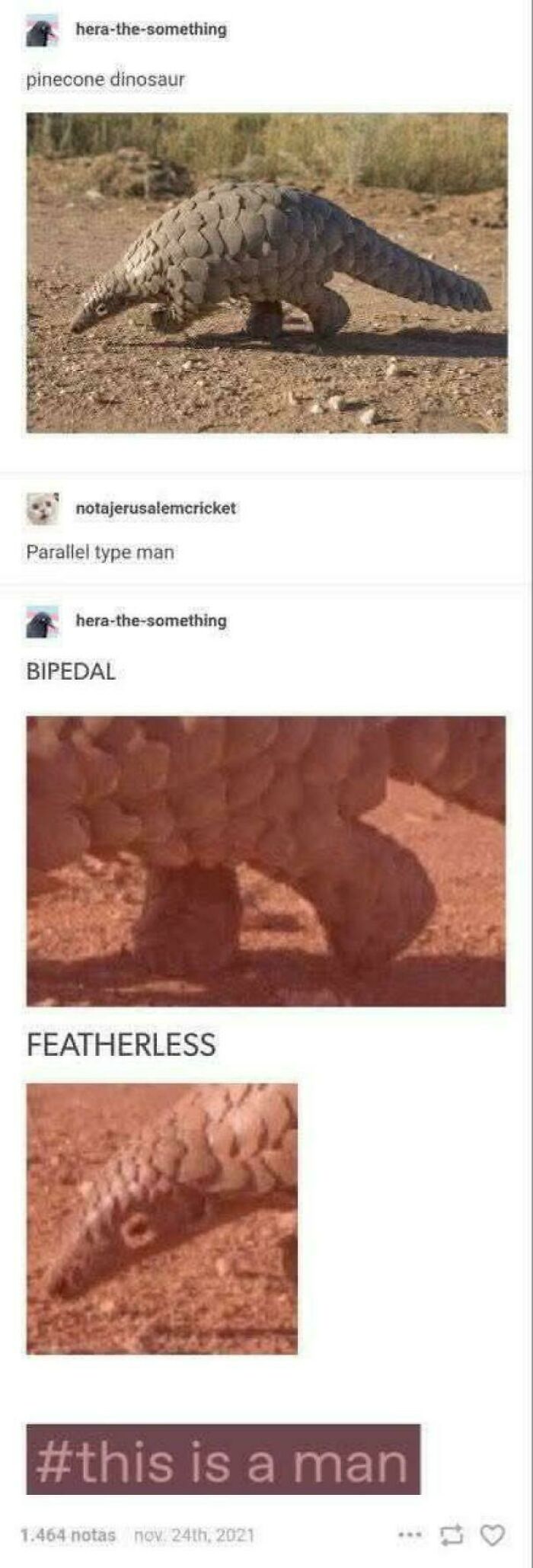 A humorous Tumblr thread comparing a bipedal pangolin to a featherless man as a Plato joke