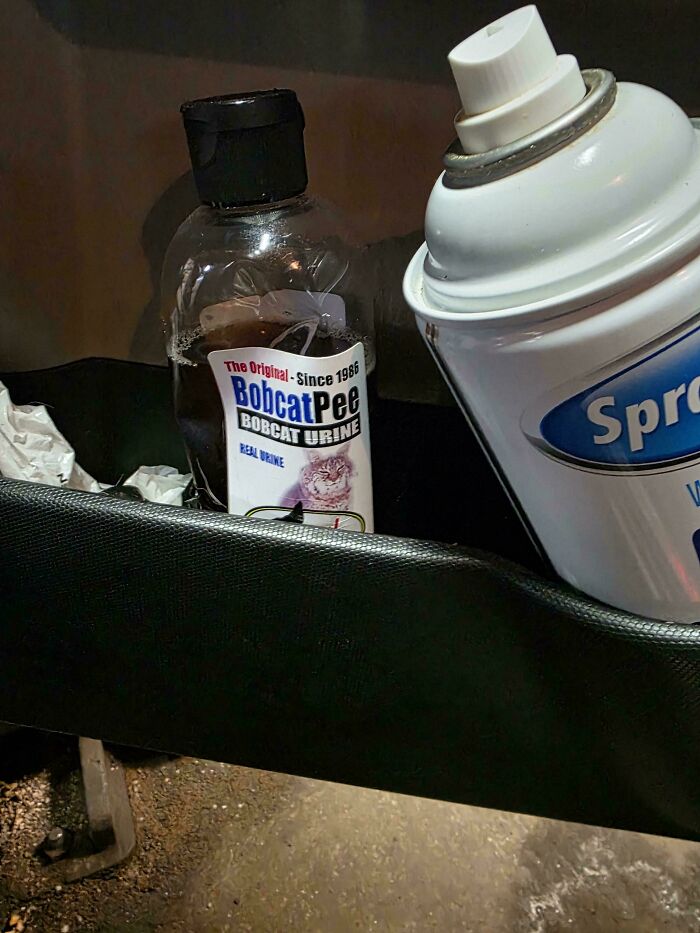 A bottle of Bobcat Pee next to a spray can in a car, an unusual item car mechanics might encounter.