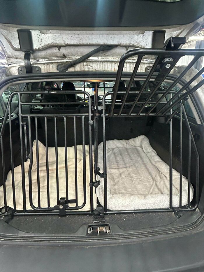 A car trunk fitted with a metal pet crate and soft bedding, ready for safe animal transport.