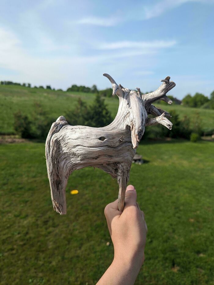 Hand holding a cool stick shaped like an animal against a green field and blue sky background.