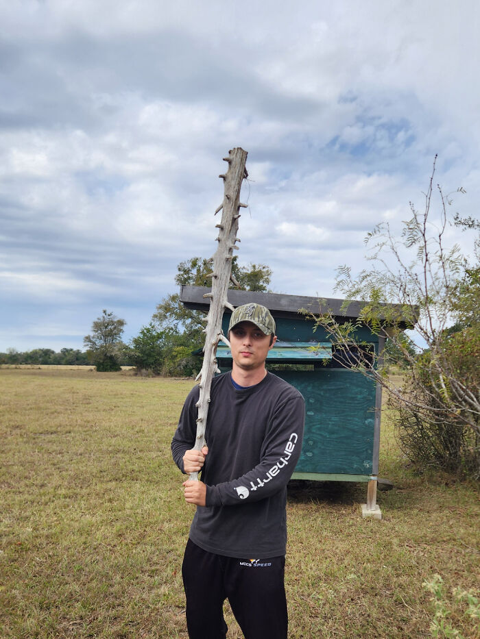 Person holding a long, cool stick with natural spikes standing in a field near a small wooden structure.