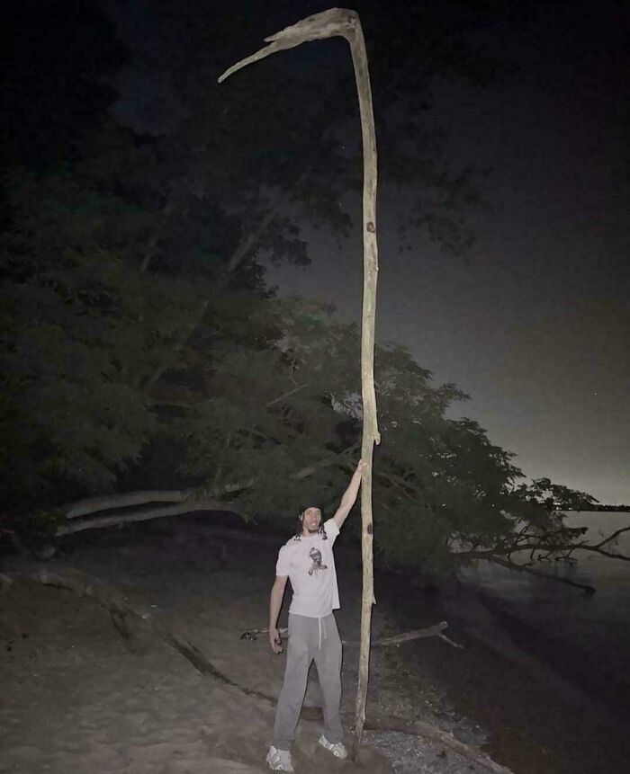 Person standing outdoors at night holding a very tall cool stick, surrounded by trees and sand near water.