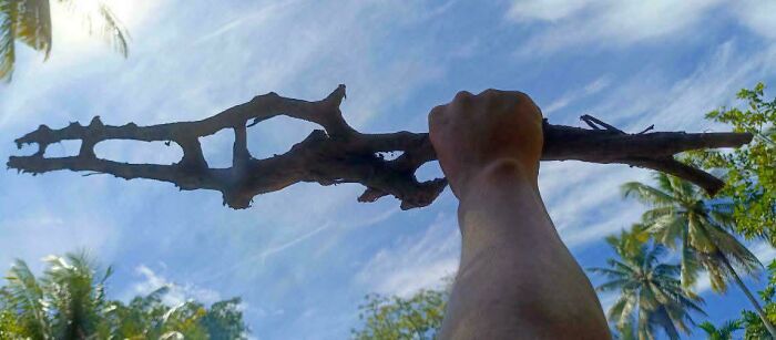 Person holding up a cool stick against a clear sky with palm trees in the background on a sunny day.