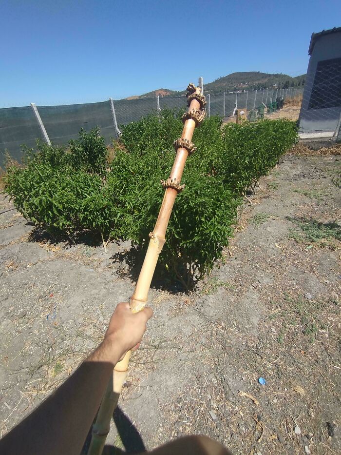 Hand holding a cool stick outdoors near green plants on a sunny day, showcasing natural wooden stick details.