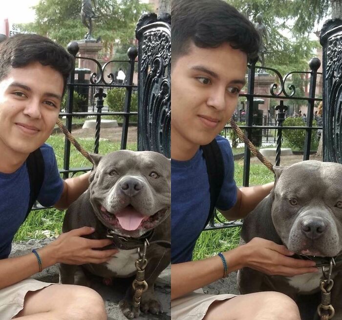 Young man with a pit bull dog in a park showing funny regret moments through changing expressions.