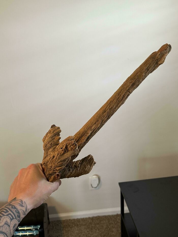 Hand holding a cool stick made of textured wood with natural knots, indoors against a plain wall background.