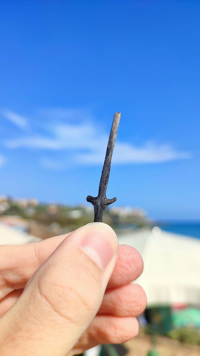 Person holding a small cool stick outdoors with a clear blue sky and distant landscape in the background