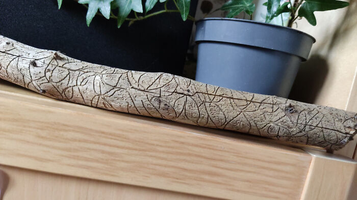A detailed close-up of a cool stick with intricate patterns resting on a wooden surface near potted plants.
