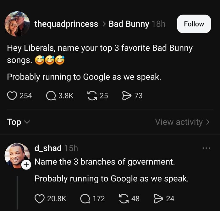 Social media posts about politics humorously challenge knowledge of government branches and favorite topics.