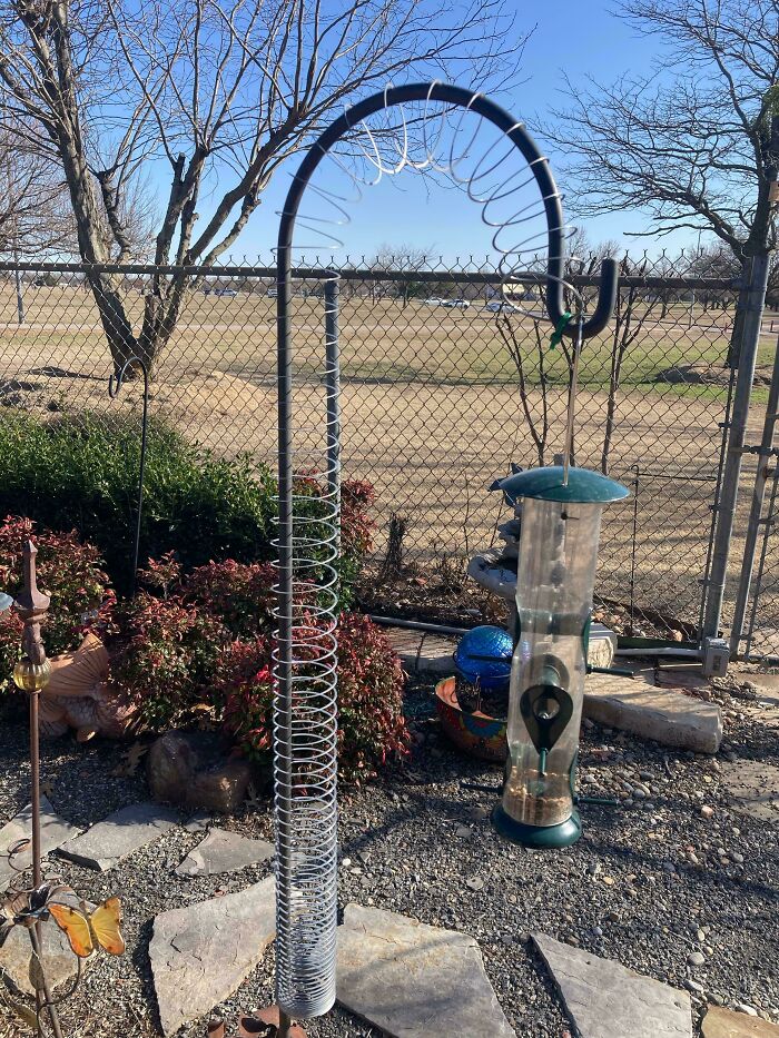 Metal spring attached to bird feeder pole preventing squirrels from climbing, a genius idea solving an annoying problem.