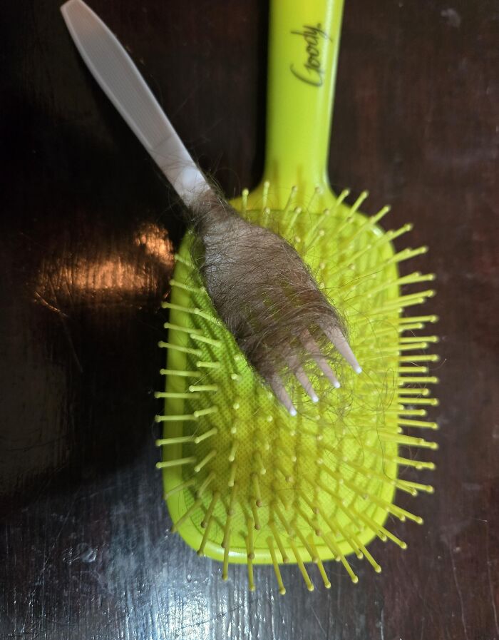 Hairbrush with tangled hair wrapped around a comb resting on top, showcasing a genius problem-solving idea.