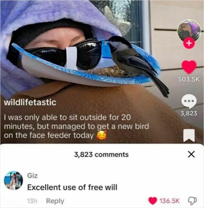 Wild-Funny-New-Sentences