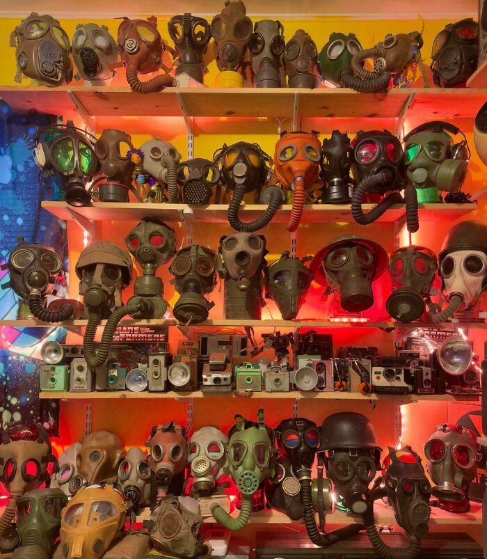 A collection of vintage gas masks and cameras displayed on illuminated shelves, showing obsession turned collection.