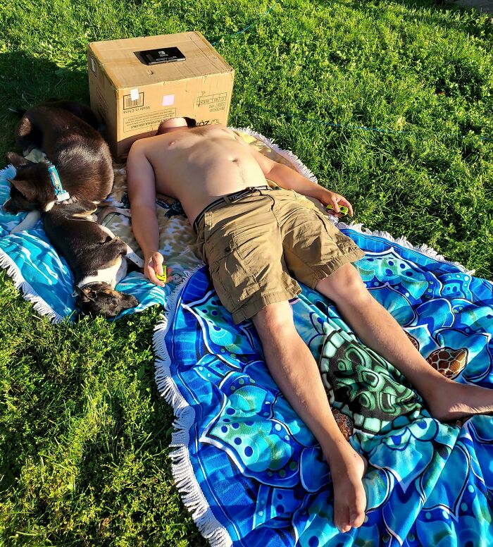 Man lying on a colorful blanket with a box over his head and two dogs resting beside him in a grassy area, genius idea.