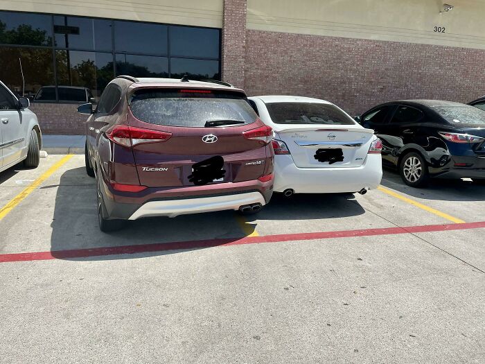 Two cars parked incorrectly, one overlapping a red no-parking line, showing people operating at 1 percent brain capacity.