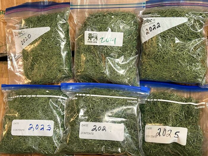Six labeled plastic bags filled with dried herbs, showcasing a collection based on yearly obsessions over time.