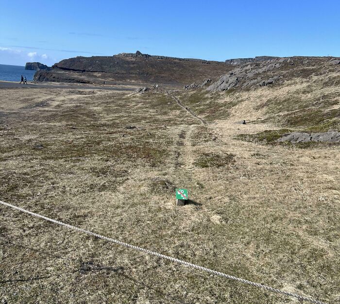 Tourists ignoring no walking sign, creating worn path on grassy landscape near rocky coastline under clear sky.