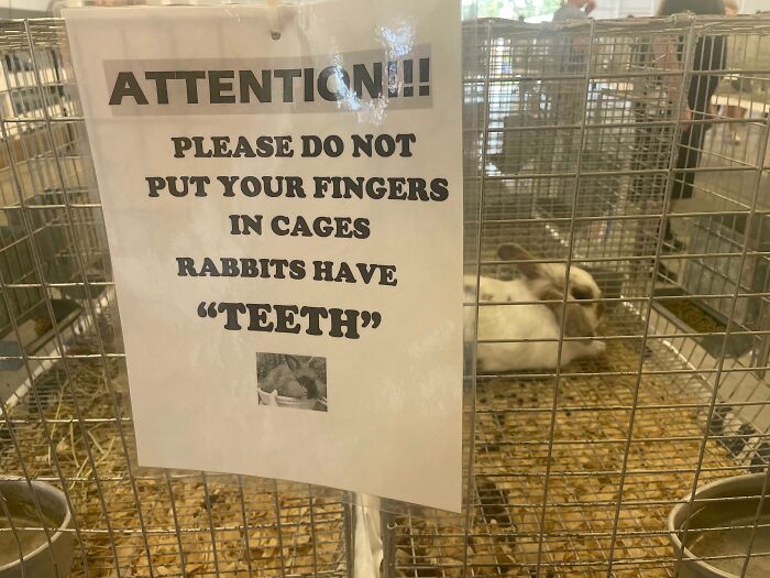 Sign with suspicious quotation marks warning not to put fingers in cages because rabbits have "teeth" in animal enclosure.