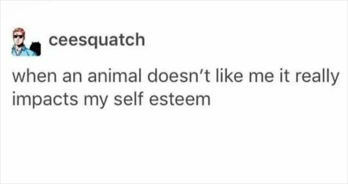 Text post about how an animal disliking someone can impact their self-esteem, featured in unhinged and wild posts.