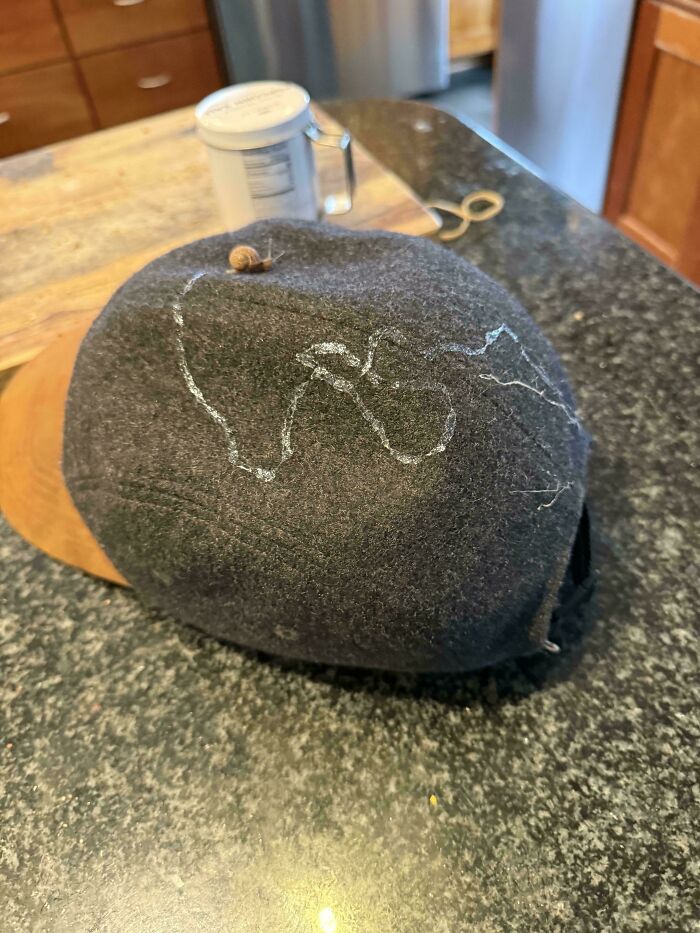 A snail leaving a trail of slime on a dark baseball cap, one of many interesting pictures.