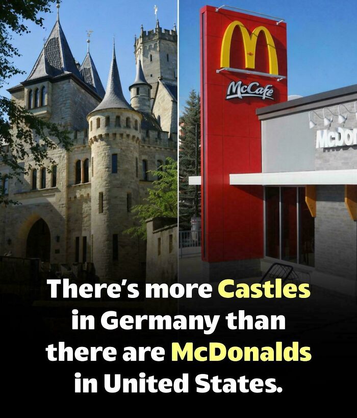 Split image showing a German castle and a McDonalds, quick facts about castles vs. McDonalds.