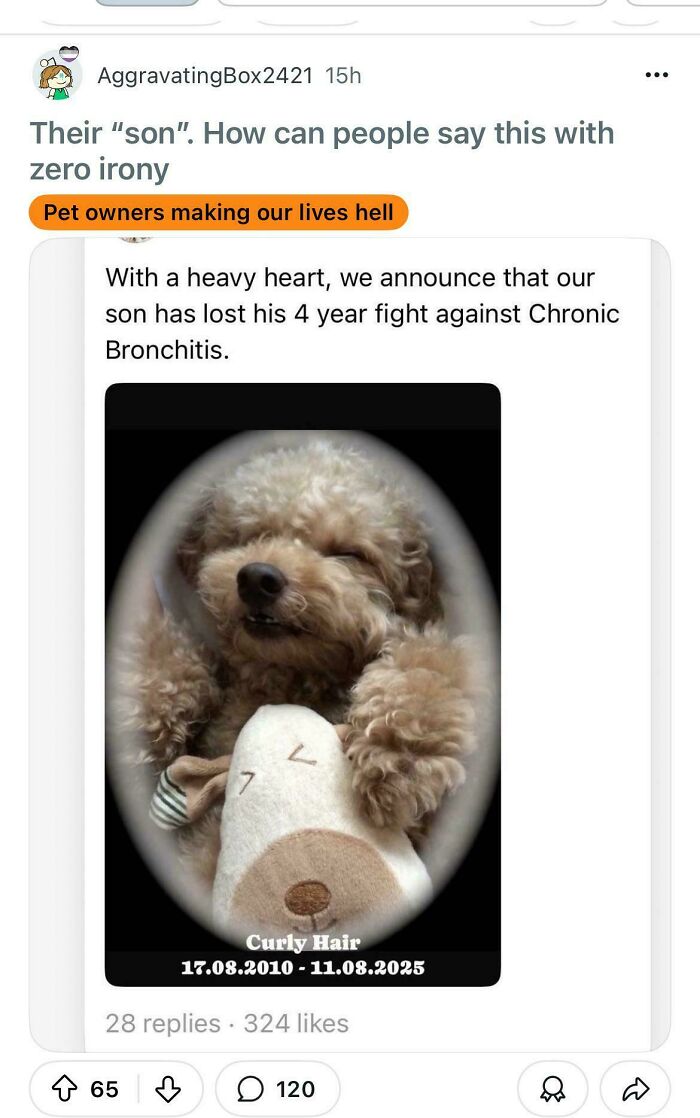 Memorial post of a dog fighting chronic bronchitis with pet owners lament