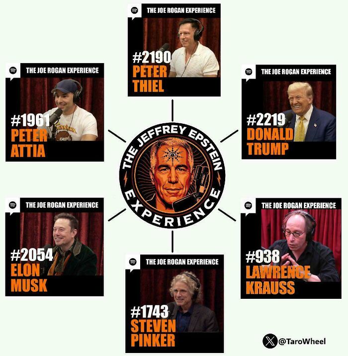 Diagram linking Jeffrey Epstein podcast guests including Elon Musk and Donald Trump