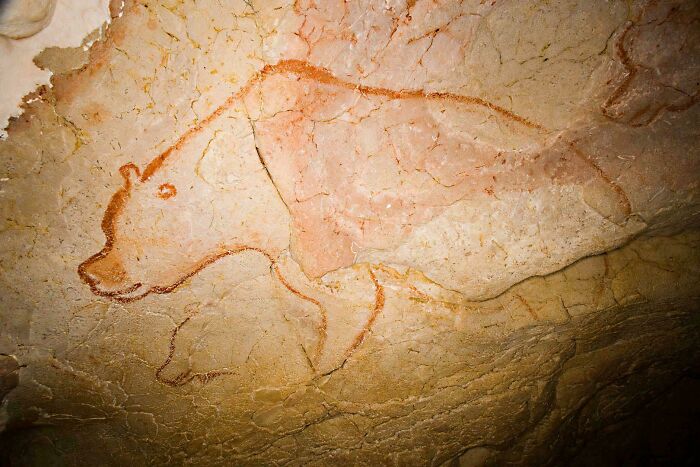 Cave wall drawing of a bear, showcasing interesting historical finds from ancient times.
