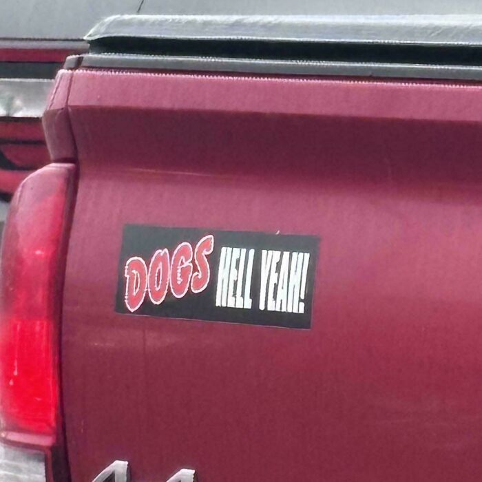 A funny bumper sticker on a red truck that says DOGS HELL YEAH! making drivers do a double take.
