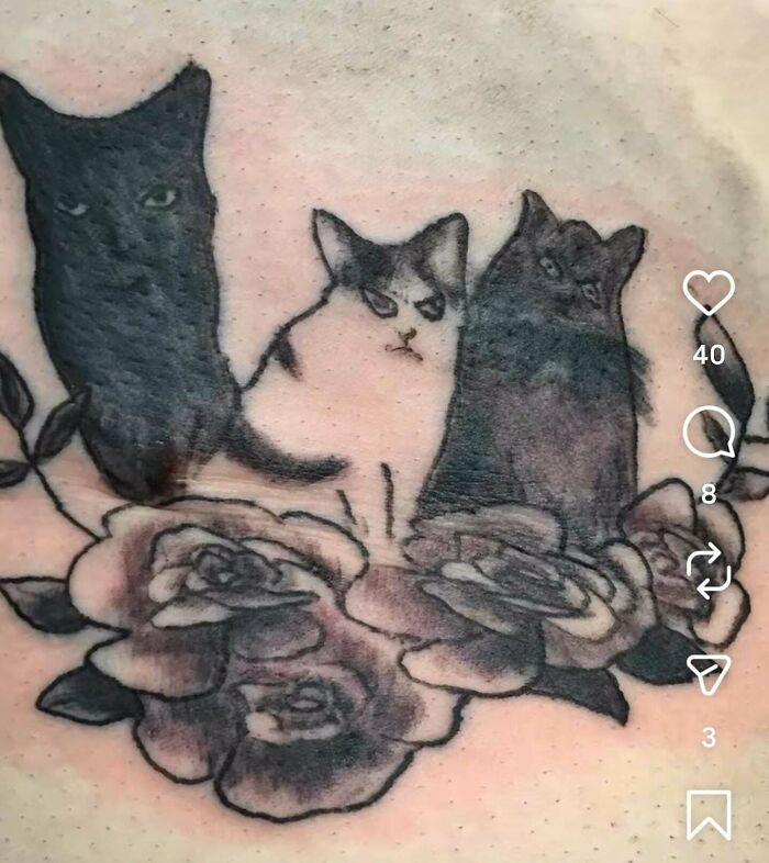 Meowwwwwwwww