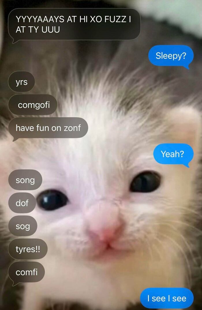 She Always Turns Into This When She’s Sleepy