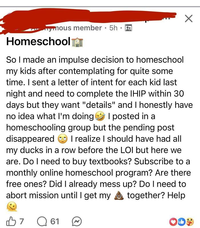 Parent shares homeschooling decision and seeks advice on homeschool programs