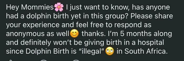 Question about dolphin birth experiences shared among mothers
