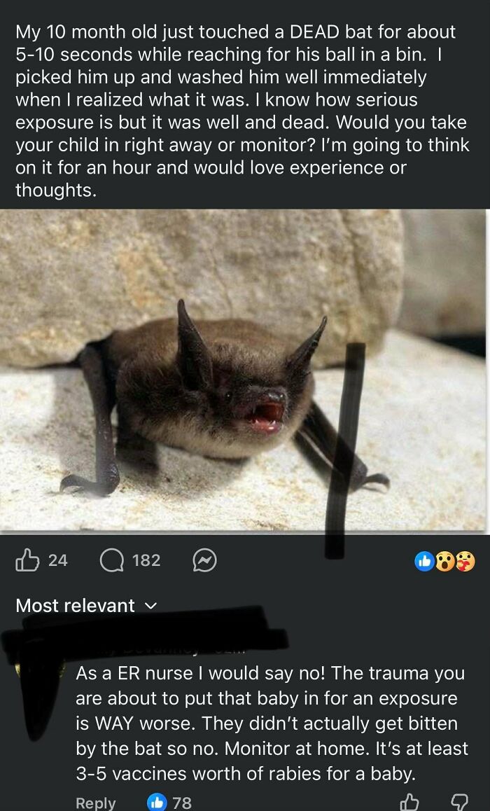 Concern over baby touching d**d bat and rabies exposure